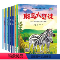 小爱因斯坦科普大画书[精装硬壳 全10册] [正版]小爱因斯坦科普大画书全套10册 精装硬壳儿童科普绘本阅读 3-6-8