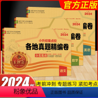 [各地真题3本]语文+数学+英语 小学升初中 [正版]2024新版王朝霞小升初语文数学英语重点校各地真题精编卷毕业升学招