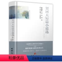 契诃夫短篇小说选(精装) [正版]精装560余页忏悔录上下全2册 全译本完整版卢梭著原著原版中文版小说名著古罗马奥古斯丁