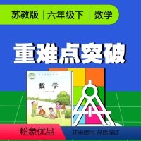 [正版]视频课程 苏教版六年级数学下册重难点突破