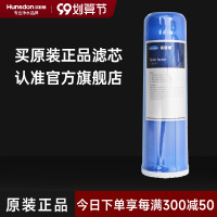 汉斯顿/Hunson 净水器净水伴侣后置 口感因子滤芯