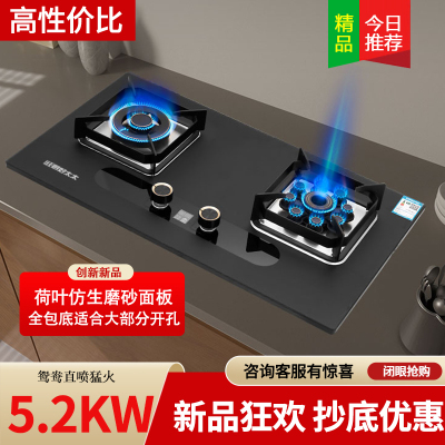 旺厨好太太 5.2KW磨砂直喷猛火灶 定时燃气灶家用炉灶 大火力煤气灶灶具双灶双眼灶液化气灶 打火灶企业价
