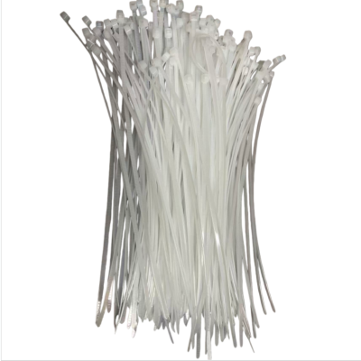 高杨茂诺 扎带 4.8*250mm 包