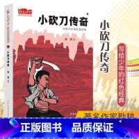 [正版]小砍刀传奇 红色经典少年品读书系 勤耕 写给少年的红色经典 小学生课外书 儿童文学