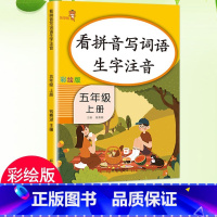 5上-看拼音写词语 小学通用 [正版]乐学熊小学生看拼音写词语生字注音一二三四五六年级上下册语文专项训练彩绘版同步训练题