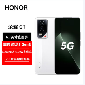 荣耀GT 冰晶白 16GB+256GB 第三代骁龙8芯 电竞屏 5G AI 新款 游戏手机