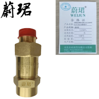 蔚珺全铜安全阀11GG18MRFR-TF DN25通用型个