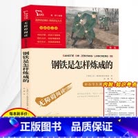 [正版]钢铁是怎样炼成的初中原著八年级下册原版完整版初中生8下必读课外书小学生课外阅读书籍初二读世界名著无删减傅雷家书