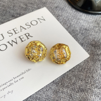 水晶字母耳钉轻奢高级感大气耳环2024新款夸张小众精致耳饰女送女朋友老婆情人节七夕生日礼物