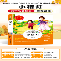 [M]小桔灯:美绘版 冰心 著 -9787533054496