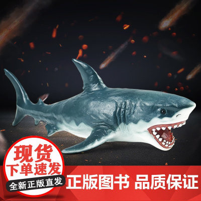 RECUR海洋动物世界鲨鱼仿真蓝鲸白海豚海豹虎鲸儿童模型玩具 文创