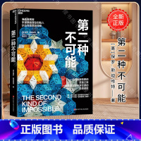 [正版]第二种不可能 物理学家保罗·斯坦哈特著 科普读物 科学冒险小说 准晶的发现故事 趣味性 纪实惊悚小说 湛庐文化