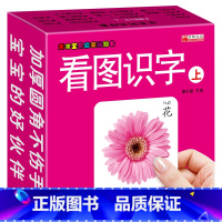 天才宝贝 看图识字上篇 [正版]幼儿彩色卡片婴儿早教卡启蒙撕不烂看图识字卡3000动物拼音儿歌水果蔬菜数字卡幼儿园宝宝大