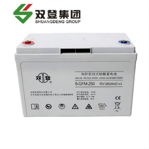 双登铅酸蓄电池6-GFM-250 含配件