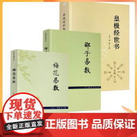 正版 梅花易数+邵子易数+皇极经世书 (全三册) 易学权威著作
