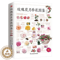 [醉染正版]正版 玫瑰花月季花图鉴 植物科普百科全书书籍 自然科学读物 百科全书 养花养植物养护指南 玫瑰月季基础知