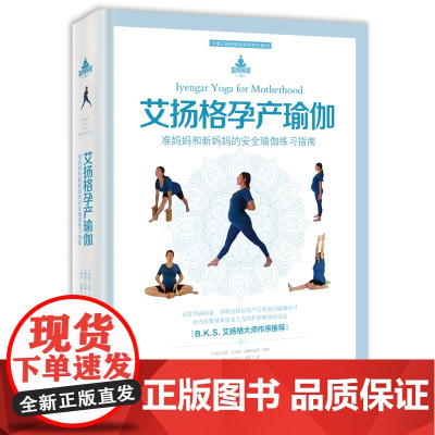 正版直发-艾扬格孕产瑜伽孕产/胎教吉塔·艾扬格，丽塔·凯勒，克斯汀·赫塔著海南出版社978754436