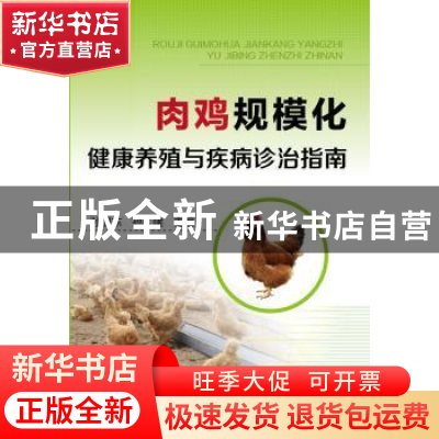 正版 肉鸡规模化健康养殖与疾病诊治指南 孙卫东,孙久建 化学工业