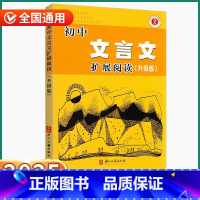初中文言文拓展阅读 [正版]2025版初中文言文扩展阅读升级版初中生七年级八年级九年级语文人教版初一初二初三课外练习古诗