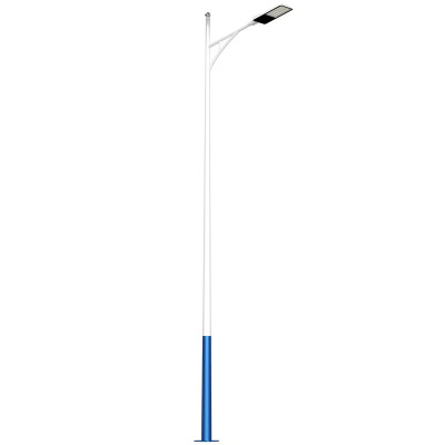 洛安斯 LED路灯市电6米 LASD6A-50W 个