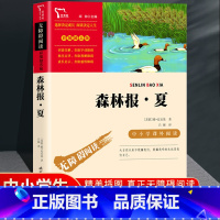 森林报夏 [正版]森林报春夏秋冬全四册 四年级下册必读的课外书阅读经典书目小学生二三4五六上比安基著动物故事书书籍科普百