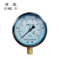 祥屹 耐震压力表 YTN100 0-1.0Mpa 块