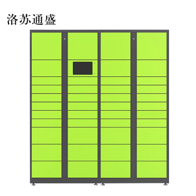 洛苏通盛智能快递柜小区快递自提柜派件柜室外寄存柜信报箱储物柜一主一副43格