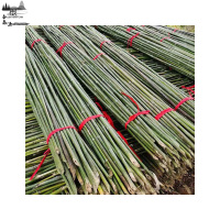 根泰鑫源竹竿扫把杆1.5X200CM/捆(100根)