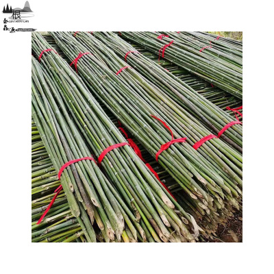 根泰鑫源竹竿扫把杆1.5X200CM/捆(100根)