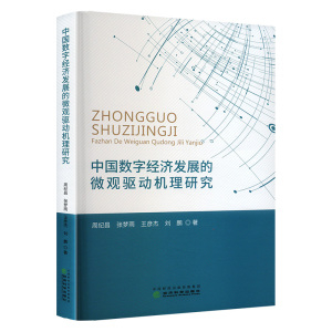 中国数字经济发展的微观驱动机理研究