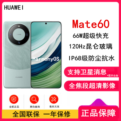 [全新]华为Mate60 12GB+1TB 雅川青 66W快充 全焦段超清影像 鸿蒙OS 120Hz昆仑玻璃屏 支持卫星消息 全网通手机