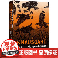 晨星 纽约时报年度关注图书 一个世界末日的隐喻 一部充满神秘色彩的文学寓言 克瑙斯高 北欧文学 悬疑神秘 理想国