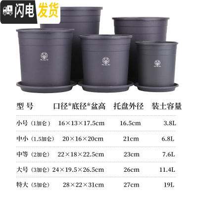 三维工匠加仑盆二代加厚塑料树脂多肉绿萝家用阳台种花月季盆栽控根大花盆 [5个装]灰色(盆+托) 特大花盆容器