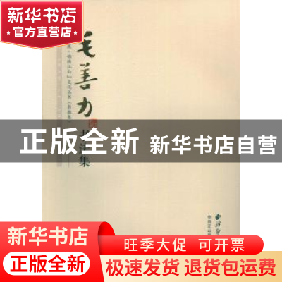 正版 毛善力书法集 中共江山市委宣传部编 西泠印社出版社 978755