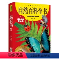 自然百科全书 [正版]自然百科全书 彩图拼音版大开本 儿童文学注音版一二三年级小学生课外阅读书籍6-7-8周岁少儿读物睡