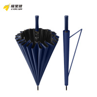 极星健 晴雨伞 自动款 把