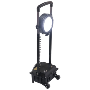 华燏 HY-YD1010 30W 12V 光源颜色/色温5700k 冷白 LED 强光工作灯 (计价单位:台) 黑色