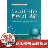 正版 Visual FoxPro程序设计基础/21世纪高等教育新理念精品规划教材 9787561847619 天