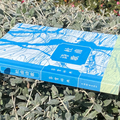 正版新书]杜甫诗歌鉴赏辞典上海辞书出版社文学鉴赏辞典编纂中心