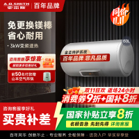 AO史密斯60升电热水器 专利免更换镁棒 金圭内胆 速热节能 纤美长款 大屏E60VC0 一级能效