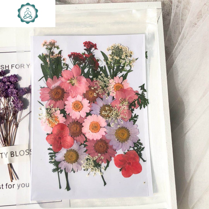 包贴纸化妆面部贴花花瓣妆满天星脸部 封后 粉色花语集(约22片)送脸胶