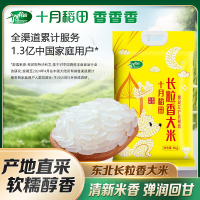 十月稻田长粒香大米5kg东北黑龙江长粒香粳米10斤真空包装
