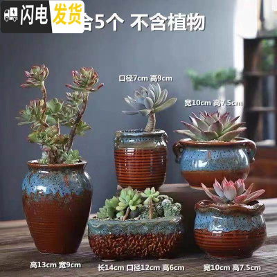 三维工匠多肉花盆陶瓷粗陶透气室内简约肉肉盆栽特大口径花盆 奈斯组合5个 中等花盆容器