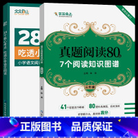 [三年级丨全2册]核心考点+真题阅读80篇 小学通用 [正版]28个核心考点吃透小学语文阅读一二三四五六年级人教版阅读理