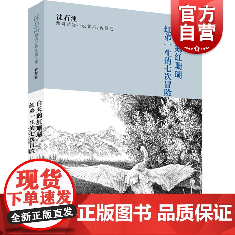 沈石溪臻奇动物小说文集智慧卷/白天鹅红珊瑚红弟一生的七次冒险 沈一鸣著6至12周岁小学生课外阅读书籍