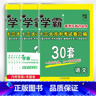 [2024]语数英 套装3本 初中通用 [正版]备考2024学霸江苏13十三大市中考试卷汇编30三十28二十八套数学语文