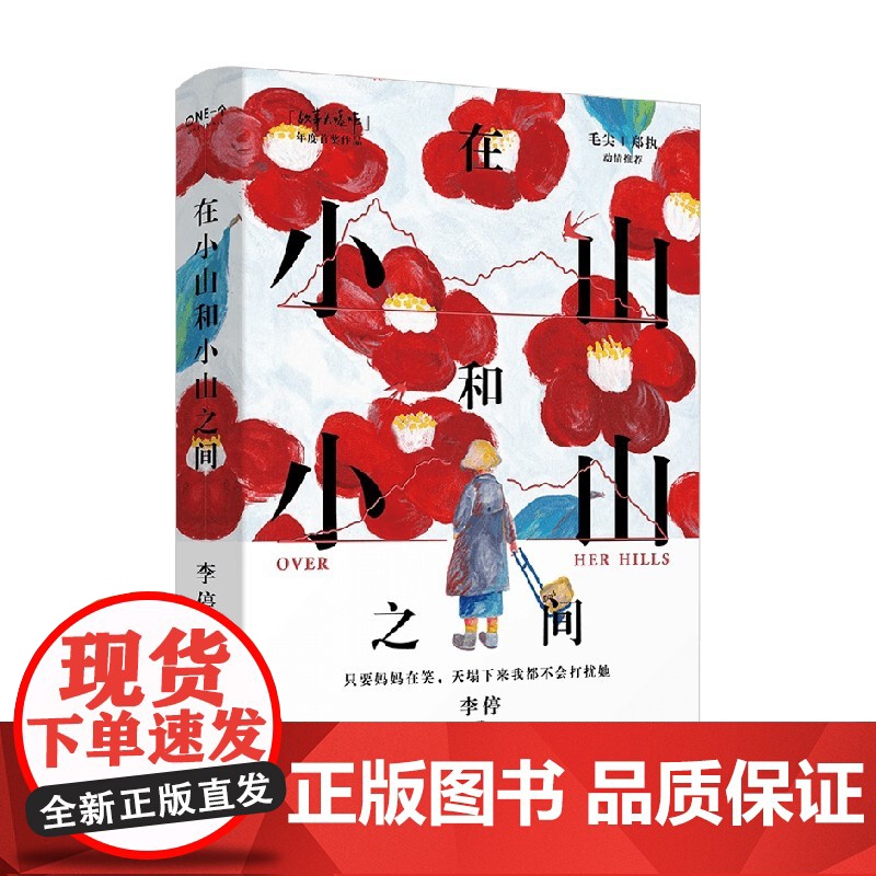 在小山和小山之间 李停 著 小说