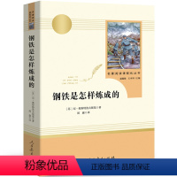 钢铁是怎样炼成的 [正版]初中生课外书全套12册 朝花夕拾鲁迅西游记骆驼祥子原著老舍海底两万里阅读书籍课外书七年级八九初