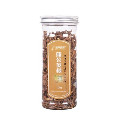 中华特色-河北馆蒲草婆婆蒲公英根茶罐装泡水花草茶婆婆丁根茶纯根茶野生蒲公英茶