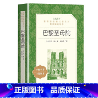 巴黎圣母院 [正版] 巴黎圣母院 雨果著 人民文学出版社 语文阅读丛书 7-9年级初中生课外阅读书籍 经典文学书目世界名